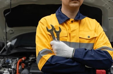 Professional Mechanic